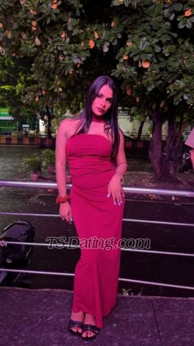 trans girl trans girlaashu 5169185