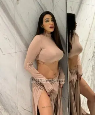 Shemale Shemalets 9519826