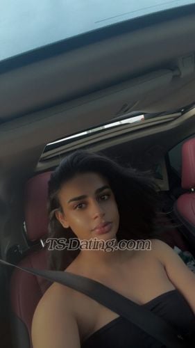 trans girl ShemelGGc 1527062 trans girl ShemelGGc 1527062