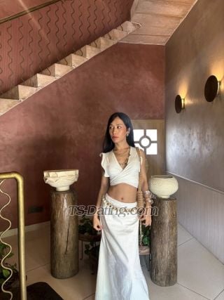 trans girl Shimmerdema 3314467
