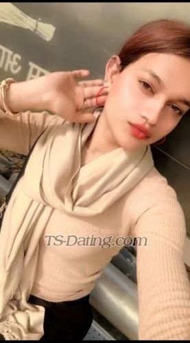 trans girl Shobiqueen 8559685 trans girl Shobiqueen 8559685