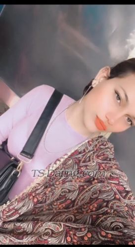 trans girl Shobiqueen 8559707 trans girl Shobiqueen 8559707