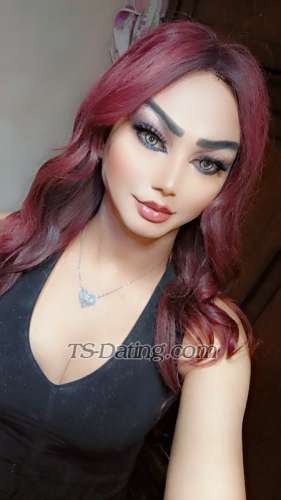 transsexual escort / Shomooq / Jordan