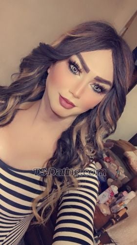 trans girl Shomooq 7609849 trans girl Shomooq 7609849