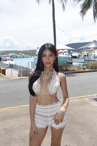 trans girl Shonavers 7168129 trans girl Shonavers 7168129