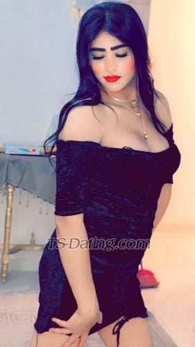 trans girl Shoshosexy 6857115 trans girl Shoshosexy 6857115