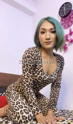 trans girl Siru23 8596976 trans girl Siru23 8596976
