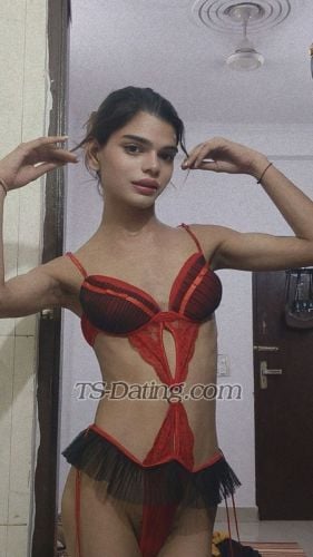 trans girl Sizzlinglily 3326706 trans girl Sizzlinglily 3326706
