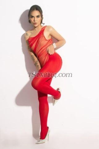 trans girl SofiaMarie 1268249 trans girl SofiaMarie 1268249