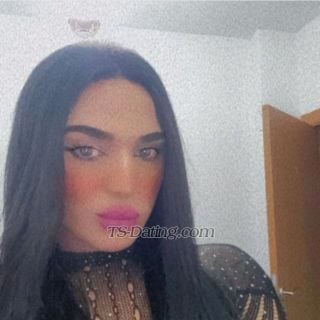 trans girl SofiaMarrake 2220572 trans girl SofiaMarrake 2220572