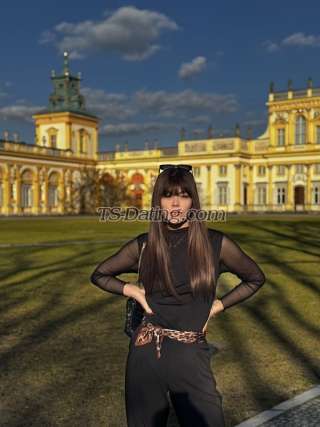 trans girl Sofiatsbr 2426873 trans girl Sofiatsbr 2426873