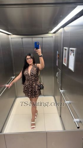 trans girl Sofiweb1 8743359