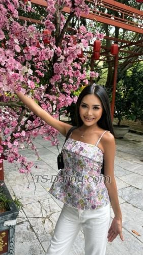 trans girl Sophia0901 5891376 trans girl Sophia0901 5891376