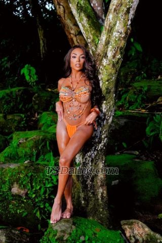 trans girl Sophiaferraz 8969589 trans girl Sophiaferraz 8969589