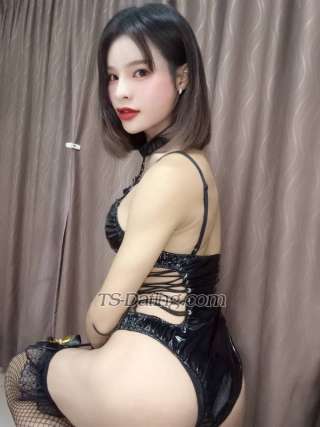 trans girl Sozarabarbie 0780456 trans girl Sozarabarbie 0780456