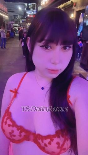 trans girl Spywinecooler 4017700 trans girl Spywinecooler 4017700