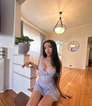 trans girl SteffiVIP 2635027 trans girl SteffiVIP 2635027