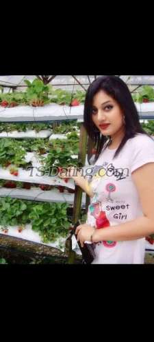 trans girl SuhanaT 1487959 trans girl SuhanaT 1487959