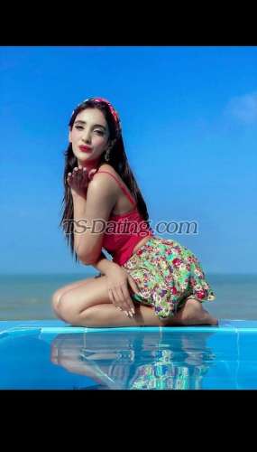trans girl SuhanaTs 9853514 trans girl SuhanaTs 9853514