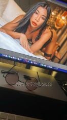 Suzyincm Chiang Mai Transex Mi piacerebbe incontrarti, uscire, baciarti e bere, incontrarmi solo a Chiang Mai, per favore salutami. 