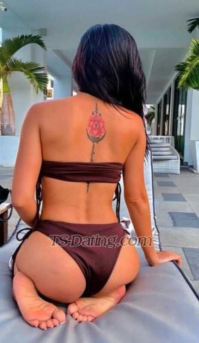 trans girl SweetCinderel 0738653 trans girl SweetCinderel 0738653