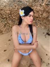 SweetKimmy Cagayan De Oro Transex Im just a simple transgender and willing to give your pleasure ✨