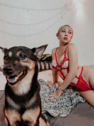trans girl Sweetcupcake 9095718 trans girl Sweetcupcake 9095718