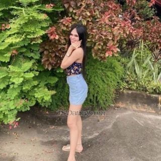 trans girl Sweetlinsy 4474880