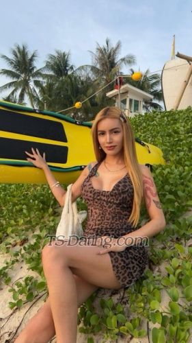 trans girl Sweetmicka 5219546 trans girl Sweetmicka 5219546