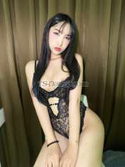 Synddy Synddy Synddy Taipei Transex