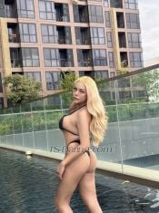 sabrina sabrina663322 sabrina663322 Bangkok Transex Hi am sabrina porn star pretty shemale 
Top uncut arrived...big cock longer get hard and big cums! Im Thai mix germany  an excotic beauty whos is really hard to find i am 100 percent real and give you a good service thats you never had!
Did u ever try to make love with a Pinay ts Uncut who can cum a lot whatever wish u want is my command i dont make promises but i can assure you i will end up your day with full of happinnes and love
What u see is what u get great cummer is will be the best for u take me and i will make u happy as ur best girlfriend in your dream
I can asure you im just about for any adventure
Most importantly i do my best to put on u as true girlfreind experience
As naughty im can u imagine fullfuling your fantasies and desire is wonderfull experience
I cater also who is matured loving faithfull and a goodman in my dreams
Someone who is gentelman caring and who appreciate good companioship i will fulfill your biggest fantasy and biggest dream
This is not about prostition its about equality and acceptance and sharing good memories
*cums a lot!
*fisting and rimming
*hard fucker
*deepthroat
*mistress play
*fetishes*good in bj
*69
*prostate massage
*gf experience
*strong Top
*sexmachine
*clean and loving
Please contact me
Telegram+66973594863
Line : mtg6633
WhatsApp  +6584807430
WeChat  gigy68