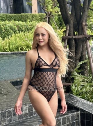 trans girl sabrina663322 7442663 trans girl sabrina663322 7442663