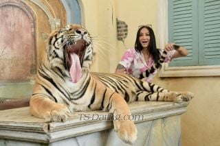 trans girl sabrinahot 7952003