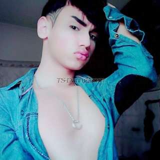saraman-8929061