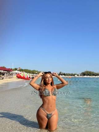 trans girl sashadiamond 0874439 trans girl sashadiamond 0874439