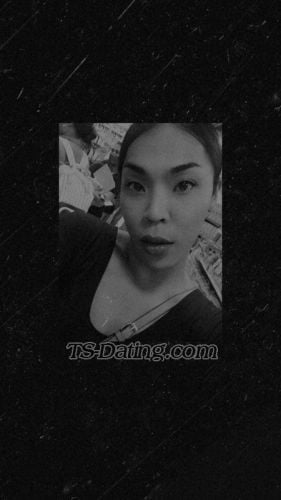 trans girl sassytrans 3808213