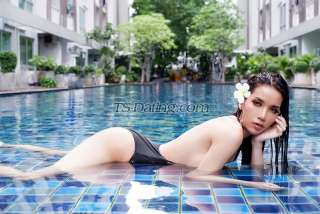 trans girl sexybella88 9217044 trans girl sexybella88 9217044
