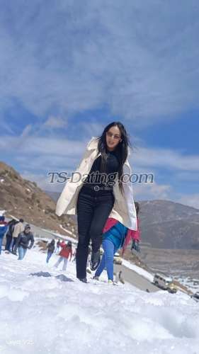 trans girl sexysarah 2649671 trans girl sexysarah 2649671