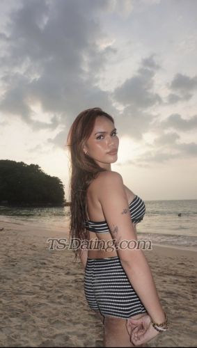 trans girl shaeschafer 8270539 trans girl shaeschafer 8270539