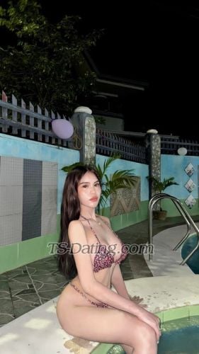 trans girl shanedoll 3290008 trans girl shanedoll 3290008