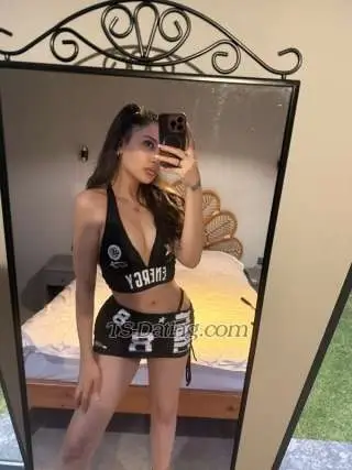 Shemale transgendermerve 0622622 Shemale transgendermerve 0622622