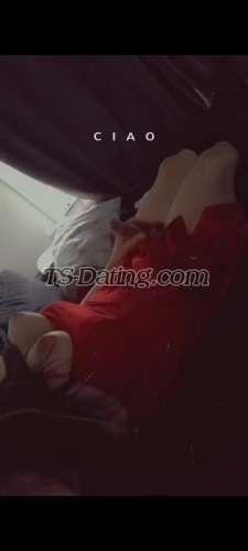 trans girl trans girlorebr 2687141 trans girl trans girlorebr 2687141