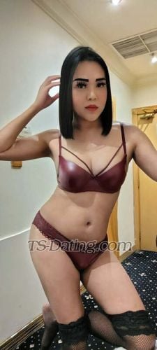 trans girl trans girlwang 7774851
