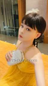 DaJiHuangHou shiwanti shiwanti Shenzhen Transex Hi Nice to meet you~ My name is Shi Wan Ti , i am from mainland china and I’m going to work in Shenzhen
Feel free to contact me if you’re interested to have a exciting experience with me 
I can be both top/ bottom with my hard one 
Looking forward to see you!
What’s: +852 53272871
WeChat: kw05599
尊敬的贵宾,您好,我来自中国大陆,现在在深圳,我可以做“大鸡猛攻”,也可以做“大鸡骚受”,做攻时一直坚挺有力,舔你的奶头,舔你的菊花进行放松,插入时只有快感;做受时我后面出水,前面也一直硬着,你一边插我一边用手摸着我坚挺的仙女棒,兴奋到一起高潮 !!
What’s: +852 53272871
 微信: kw05599
✅KISSING / DEEP FRENCH KISSING 💋💋
✅LICKING
✅SUCKING
✅FUCKING TOP/BOTTOM
✅CUM ON FACE AND CUM ON BODY 💦
✅CREAMY CUM. I DONT TAKE HORMONES
✅RIMMING
✅ SOFT AND SILKY ASIAN SKIN
✅100% SHAVED
✅GIRLFRIEND EXPERIENCE
✅GOLDEN SHOWER
✅INCALL
