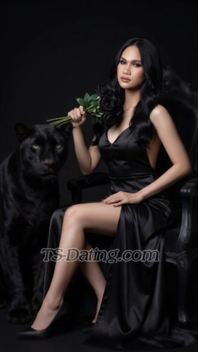 trans girl sofiacoxs 6750699