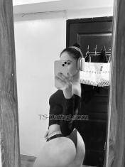 kate sofiacoxx sofiacoxx Taichong Transex The Hottiest,Sexiest and Most Feminine in Town just
arrived!So be with me and dont lost any chances!q
A
feminine, fresh and young ts!!
If youre tired of meeting
TS who doesn't look like the same of their pictures or TS
that can't get hard and hard to cum,then put yourself in the
right place by being with me now,you can just call me first
before you book me so you will see my face without filter
that iam the same in photo and in real life.They all said
that iam more sexy and beautiful in real,iam a girlfriend
type that no one can even tell that im trans and have a hard
cock as rock between my legs,the advantages of being with me
is really amazing.
A naturally sweet and kind person
with innocent face and sweet voice but untamed in bed that
will blow your mind and bring you to the other
dimension.
Life is short, so explore and try
something new and fun like me. I am very clean, hygienic,
well-mannered, classy and educated. Iam
conversationalist,and can make you feel comfortable and
lessen your stress by making our body close to each other.I
make effort before meeting my clients..
I can offer you
many things,especially my hot and tight ass that will make
you cum so good.
Iam a model with a height of 170cm and
with a weight of 52kg
People loves my skin as its light
medium brown-smooth and soft.My hair is long silky brown and
soft too,i smell so good that will leave a memory to your
brain.They said that iam out of their league but their
wrong,Its just because i love taking care of myself.Iam very
nice,friendly and kind person so dont be shy to approach me
or ask my service,because i know that you would like to be
with me and try me in bed🥰
Iam a perfect for discreet
and married guys as well,i know how to keep our secrets for
ourselves
Iam available 24/7 so just message me and ill
reply.Iam also available for a date,and if you want someone
to accompany you.I do dress up depends on how you want to
see me,It can be sexy,classy,cute or conservative.It depends
on the occasion and place.
Im also good when it comes to
HOT ROLEPLAYING.❤️❤️
Reminder: IT IS
NOT WHO IS THE CHEAP TO CHOOSE,IT IS THE PERSON ITSELF—IAM
A MIXED MODEL FROM PHILIPPINES,PRETTY IN
PERSON,SEXY,HYGIENIC,SMELL GOOD AND SOFT SKIN—FULL
PACKAGE,IAM NOT A TIME WATCHER SO APPRECIATE MY FEES AND TRY
ME EVEN ONCE TO COMEBACK FOR MORE🥰😘
ALL OF MY
PHOTOS ARE NOT EDITED,BECAUSE I BELIEVE THAT LESS IS
MORE—VIDEOCALL FOR CONFIRMATION 😉
I DO GIVE
THE BEST WITH MY CLIENTS THAT MADE THEM COMING BACK FOR
MORE,SO APPRECIATE MY FEES AS YOU GET WHAT YOU PAID FOR IN
LIFE😘😘
STRICKLY NO UNSURE
BOOKING!!
I’m a real definition of What you see
is What you get..IAM HALF FILIPINA 🇵🇭 and HALF
LEBANESE🇱🇧
✅Very clean and hygienic (oral
and body)
✅Smell good
✅have soft and smooth
skin
✅HIV TESTED=Negative
✅Girlfriend and Wife
Material
✅Funny with good sense of humor
✅Have
hot and tight ass
✅Can get hard and can
squirt
✅Iam a fashion model,very kind,friendly and
funny
✅Im discreet and lovable
✅Iam a full
package,but never think that iam out of your league because
i just love taking care of myself and thats an epitome of a
fashion model🥰
WhatsApp:
+639389888477
Telegram: stvrlighttq
Wechat:
+639389888477