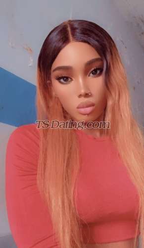 trans girl stephanie222 6918931 trans girl stephanie222 6918931