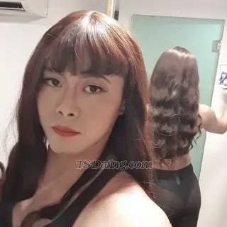 Shemale stephy123 8073457 Shemale stephy123 8073457