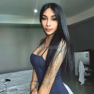 Shemale superTopAlie 7321933 Shemale superTopAlie 7321933
