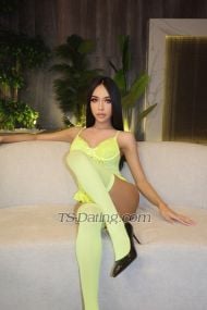 suthida888 Riyadh Transex 🥰IG: ooy__2000
Hi there my name is Minnie from thailand 🇹🇭 , I am ladyboy big🍑ass🍑hot Dick 🍆 with sexy big boobs,a lot of CUM 💦, new in Phuket Patong  let’s meet have a good time CUM together 
Can be Top and Bottom like to do 69 love sucking and kissing. I love to give you my big 💦💦💦💦 
im good service looking guy stay in Hong Kong. come enjoy 💋✨💦 my service🍑🍑🍑🍑

🍑Fuck ass 
🍑Licking 
🍑Kiss 
🍑Rim 
Fuck 3 some man with girls 
Fuck harder cum in my mouth 
Dominant goddess 
Sexy hard cock 🍆
Do anything good take care and massage 
If you interested me please contact

Welcome to drinking and partying as well 
🍺🍻🥂🍷🥃🍸🍹🍾🧉
I can serve women and both men and can do anything can have sex with a woman she is a man I am able to do it.